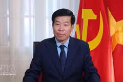 Заместитель министра иностранных дел Нгуен Мань Кыонг. Фото: ВИА. 
