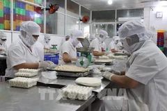 Работники производят жареные спринг-роллы на пищевом предприятии Kim Ngoc Food в квартале Танан провинции Тайнинь. (Фото: ВИА) 