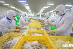 Вьетнам заработал 1,1 млрд долларов США на экспорте креветок в Китай