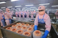 Креветки, обработанные для экспорта на заводе Minh Phu Group. Несколько международных организаций понизили прогноз экономического роста Вьетнама до 6-6,2% в 2025 году из-за неопределенности глобальной политики. (Фото: ВИA)