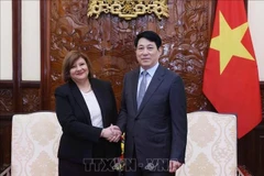 Президент государства Лыонг Кыонг (справа) и покидающий свой пост посол Египта Амаль Абдель Кадер Эльморси Салама в Ханое 1 июля (Фото: ВИA)