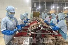 Рабочие производят консервы из тунца на фабрике Seaspimex в Хошимине. (Фото: ВИA)