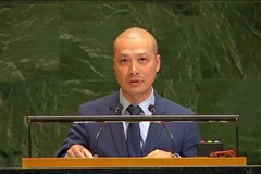 Советник-посланник Нгуен Хоанг Нгуен, заместитель постоянного представителя Вьетнама при Организации Объединенных Наций, выступает на пленарном заседании (Фото: ВИA)