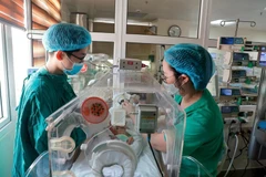  Забота о здоровье новорождённых. (Фото: Vietnam+) 