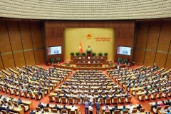 5 мая на девятой сессии Национального собрания (НС) 15-го созыва 100% присутствовавших депутатов проголосовали «за», НС официально приняло резолюцию о внесении изменений и дополнений в ряд статей Конституции 2013 года. (Фото: ВИА)