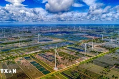 Иллюстративное изображение (Фото: ВИA)