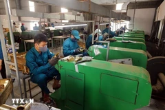 Производственная линия на предприятии TDV Vietnam Manufacturing and Trading Group Co., Ltd, расположенном в промышленном парке VSIP Nghe An. (Фото: ВИA)