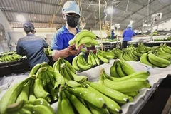 Иллюстративное изображение (Фото: ВИА) 