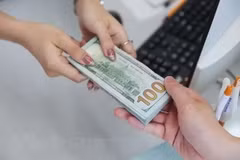 Из общего объёма запланированных заимствований около 60% будет направлено на покрытие дефицита государственного бюджета, а оставшаяся часть - на погашение основной суммы долга. (Фото: ВИА)