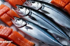 Иллюстративное фото (Источник: ВИА) 