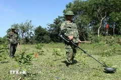 Разминирование неразорвавшихся боеприпасов в центральной провинции Куангчи (Фото: ВИA)
