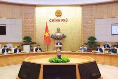 Премьер-министр Фам Минь Тьинь проводит ежемесячное заседание правительства по законотворчеству 19 марта (Фото: ВИA)