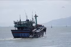 Рыболовное судно из провинции Зялай выходит в море. (Фото: ВИА)