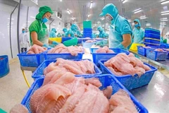 Рабочие перерабатывают рыбу для экспорта. (Фото: VietnamPlus)