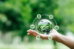 Вьетнам планирует увеличить объём зелёных кредитов для экологически чистых проектов