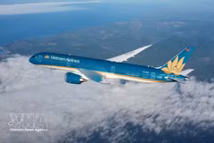 Самолет авиакомпании Vietnam Airlines. Фото: ВИА. 