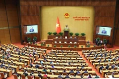 Заключительное заседание 8-й сессии НС 15-го созыва 30 ноября 2024 года (Фото: ВИA)
