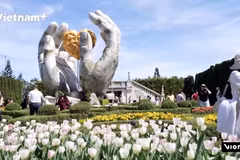 Очарование крупнейшего вьетнамского сада тюльпанов в Ba Na Hills