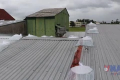 Тайфун №13 усиливается на пути к центральному Вьетнаму