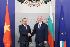 Генеральный секретарь То Лам проводит встречу с премьер-министром Болгарии Росеном Желязковым. (Фото: ВИА).