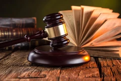 Резолюция №66-NQ/TW рассматривается как стратегический политический документ в процессе совершенствования институциональной системы, законодательства и государственного управления Вьетнама, (Фото: ВИА)