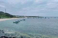 Вид на остров Фукуй (провинция Ламдонг) с моря. (Фото: ВИА)