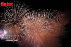 Столица Ханой встретит Новый год Биньнго 2026 фейерверками на 34 площадках, размещённых во всех районах и уездах города, с 00:00 до 00:15 в новогоднюю ночь. (Фото: ВИА).