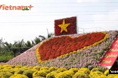 Цветочная столица Шадек с 300-летней историей привлекает множество туристов в преддверии Тэта 2026