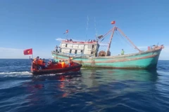 Дананг усиливает соблюдение правил ННН-промысла