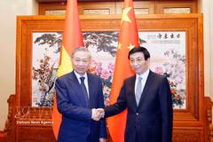 Генеральный секретарь, Президент То Лам провёл встречу с Председателем Народного политического консультативного совета Китая Ван Хунином. (Фото: ВИА)