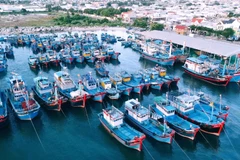 В настоящее время в провинции насчитывается более 5 120 рыболовных судов длиной шесть метров и более.