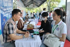 Консультационная и рекрутинговая деятельность на ярмарке вакансий в городе Хошимин. (Фото: ВИА)