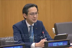 Посол До Хунг Вьет, глава Постоянного представительства Вьетнама при ООН выступает. (Фото: ВИА)