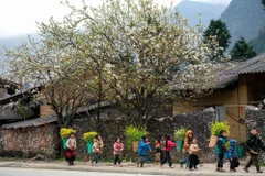 Жизнь жителей Каменного плоскогорья Донгван. (Фото: ВИА))