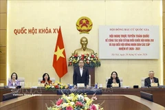 Председатель Национального собрания Чан Тхань Ман председательствует на конференции. (Фото: ВИА)