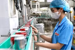 Производство на предприятии компании Tan Quang Minh Trading Co., Ltd. (Bidrico), г. Хошимин. (Фото: sggp.org.vn)