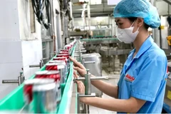 Производство на предприятии компании Tan Quang Minh Trading Co., Ltd. (Bidrico), г. Хошимин. (Фото: sggp.org.vn)