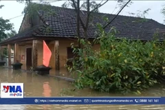 Многие районы всё ещё затоплены на глубину от 1 до 1,5 метра. (Фото: ВИА)