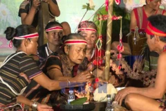 Народность Стьенг отмечает праздник нового риса