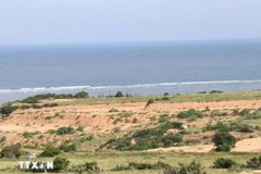 Место, выбранное для строительства атомной электростанции «Ниньтхуан-1», в общине Фыокдинь. (Фото: ВИА).