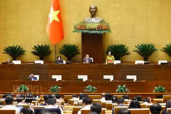 Заместитель Председателя Национального собрания Нгуен Тхи Тхань ведёт заседание. (Фото: ВИА)