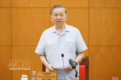 Генеральный секретарь, Президент государства То Лам выступает с руководящими указаниями. (Фото: ВИА).