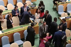 Множество государств-членов ООН пришли поздравить Вьетнам с высоким результатом голосования. (Фото: ВИА).