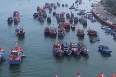 Куангчи ужесточает контроль за рыболовным флотом в целях борьбы с ННН-промыслом