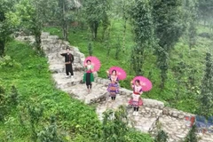 Плато Шинхо в провинции Лайтьяу