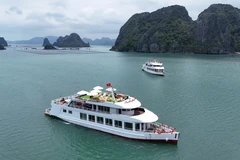 Туристическое судно в заливе Бай Ты Лонг. (Фото: ВИА)