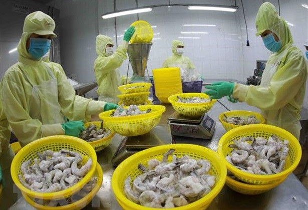 Открываются новые возможности в торговом сотрудничестве между Вьетнамом и Брунеем ảnh 2