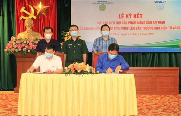 Фермерские продукты Виньфука будут продаваться на Voso.vn ảnh 1 Фермерские продукты Виньфука будут продаваться на Voso.vn ảnh 1