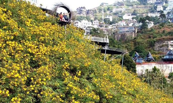 Тамдао признан лучшим гордком мира 2022 года ảnh 2