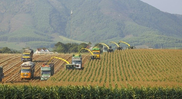 Вовлечение частного сектора необходимо Вьетнаму для продвижения зеленого роста ảnh 1 Вовлечение частного сектора необходимо Вьетнаму для продвижения зеленого роста ảnh 1